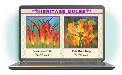 Chapter 3.4, Problem 12ES, a Solve. Flower Bulbs. Heritage Bulbs sells heirloom flower bulbs. Acuminata tulip bulbs cost $4.85 