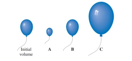 Chapter 11, Problem 87UTC, A balloon is filled with helium gas with a partial pressure of 1.00 atm and neon gas with a partial 