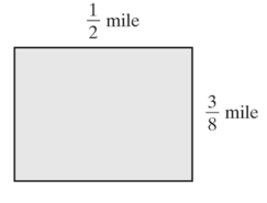 DEVELOPMENTAL MATHEMATICS, Chapter 2.4, Problem 98ES 