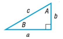 Precalculus, Chapter 8.1, Problem 29AYU 