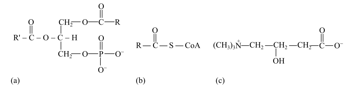 Biochemistry, The Molecular Basis of Life, 6th Edition, Chapter 12, Problem 3Q 