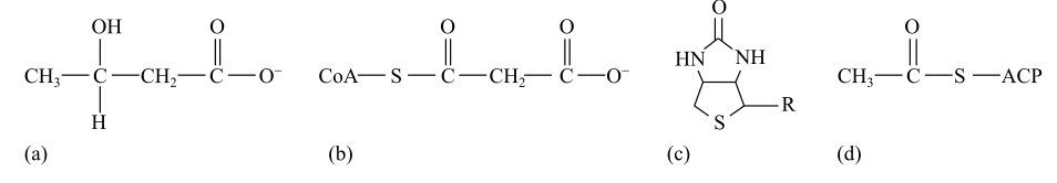 Biochemistry: The Molecular Basis of Life, Chapter 12, Problem 9Q 