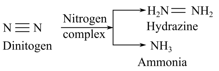 EBK BIOCHEMISTRY: THE MOLECULAR BASIS O, Chapter 14, Problem 1Q , additional homework tip  3