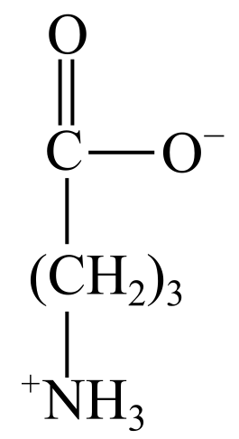 Biochemistry, The Molecular Basis of Life, 6th Edition, Chapter 14, Problem 31RQ , additional homework tip  1