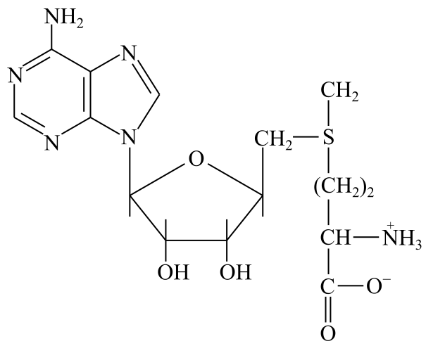 Biochemistry, The Molecular Basis of Life, 6th Edition, Chapter 14, Problem 31RQ , additional homework tip  5