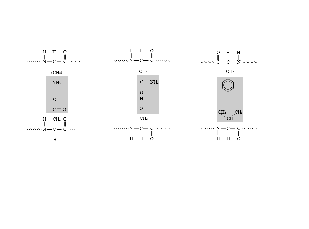 Biochemistry: The Molecular Basis of Life, Chapter 3, Problem 2Q 