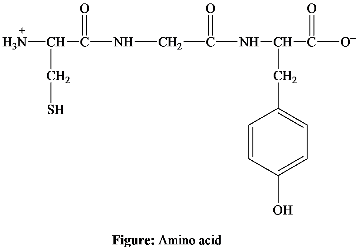 Biochemistry: The Molecular Basis of Life, Chapter 5, Problem 15RQ 