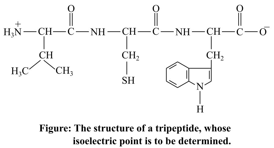 Biochemistry: The Molecular Basis of Life, Chapter 5, Problem 3Q 