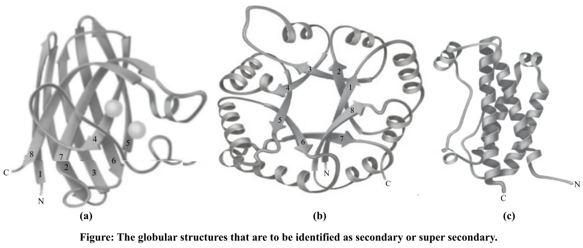 Biochemistry: The Molecular Basis of Life, Chapter 5, Problem 8Q 