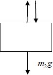 Physics: Principles with Applications, Chapter 4, Problem 11P , additional homework tip  1