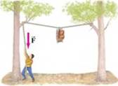 Chapter 4, Problem 4MCQ, A bear sling, Fig. 4-40, is used in some national parks for placing backpackers' food out of the 