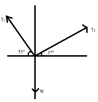 Physics: Principles with Applications, Chapter 9, Problem 13P 