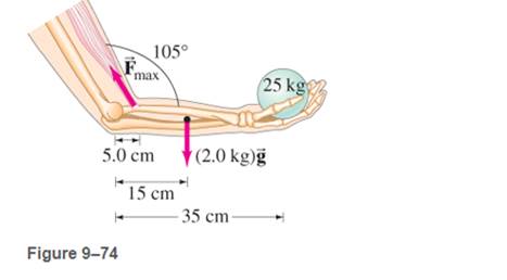 Chapter 9, Problem 36P, If 25 kg is the maximum mass m that a person can hold in a hand when the arm is positioned with a 