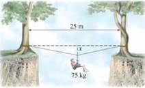 Chapter 9, Problem 79GP, In a mountain-climbing technique called the Tyrolean traverse,” a rope is anchored on both ends (to 