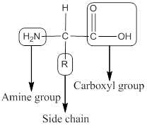 General Chemistry: Atoms First, Chapter 23, Problem 23.36CP , additional homework tip  1