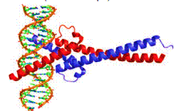 Biochemistry: Concepts and Connections, Chapter 6, Problem 16P , additional homework tip  1