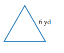 Chapter 10.3, Problem 19E, In Exercises 11-20, find the perimeter of the figure named and shown. Express the perimeter using 