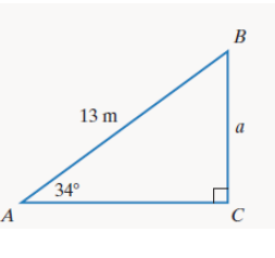 Chapter 10.6, Problem 13E, In Exercises 9-18, find the measure of the side of the right triangle whose length is designated by 
