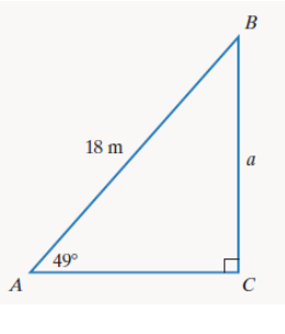 Chapter 10.6, Problem 14E, In Exercises 9-18, find the measure of the side of the right triangle whose length is designated by 
