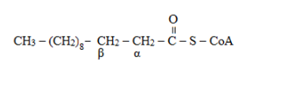 Chem 103 : Catalyst - With Access (Custom), Chapter 18, Problem 18.71UTC , additional homework tip  2