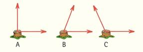 Chapter 2, Problem 35RCQ, As seen from above, a stubborn stump is pulled by a pair of ropes, each with a force of 200 N, but 