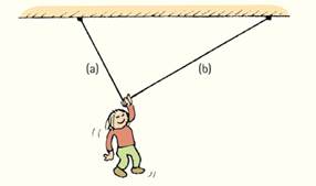 Chapter 2, Problem 36RCQ, Nellie hangs motionless by one hand from a clothesline. Which side of the line, a or b, has the 