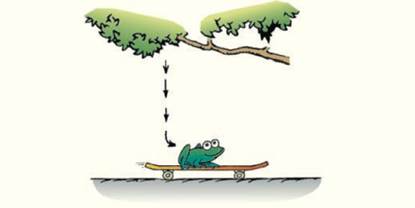 Chapter 6, Problem 98RCQ, Freddy Frog drops vertically from a tree onto a horizontally moving skateboard. The skateboard 