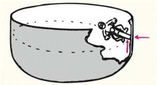 Chapter 8, Problem 89RCQ, A motorcyclist is able to ride on the vertical wall of a bowl-shaped track as shown. Friction of the 
