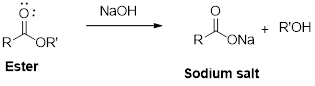 EBK ESSENTIAL ORGANIC CHEMISTRY, Chapter 11, Problem 42P , additional homework tip  2