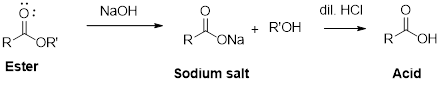 Essential Organic Chemistry (3rd Edition), Chapter 11, Problem 42P , additional homework tip  3