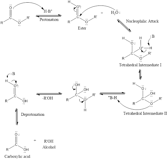 EBK ESSENTIAL ORGANIC CHEMISTRY, Chapter 11.8, Problem 15P , additional homework tip  1