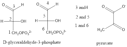 Essential Organic Chemistry (3rd Edition), Chapter 19, Problem 41P , additional homework tip  1