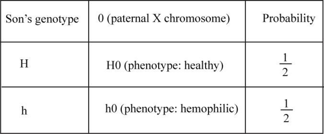 CAMPBELL BIOLOGY IN FOCUS (LL)-W/MOD.MA, Chapter 12, Problem 1TYU , additional homework tip  2