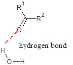 General, Organic, and Biological Chemistry: Structures of Life (5th Edition), Chapter 16.2, Problem 16.13QAP 