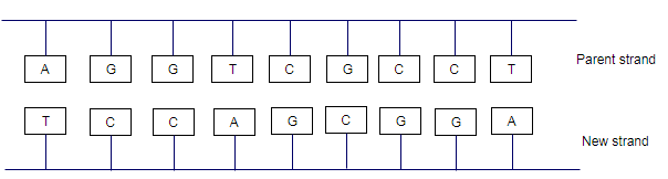 GENERAL  ORGANIC  BIO CHEM CCCS >C<, Chapter 21, Problem 21.105UTC , additional homework tip  3