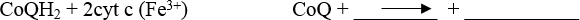 General, Organic, and Biological Chemistry: Structures of Life (5th Edition), Chapter 23.2, Problem 23.31QAP , additional homework tip  2