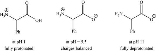 Student's Solutions Manual for Organic Chemistry, Chapter 24, Problem 24.27SP , additional homework tip  1