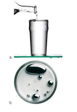 Chapter 11, Problem 14E, Water (a) “wets” some surfaces and beads up on others Mercury (b). in contrast, beads up on almost 