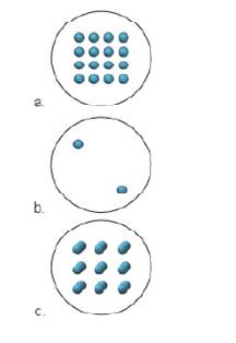 Chapter 11, Problem 2SAQ, Liquid nitrogen boils at 77K .The image shown here depicts a sample of liquid nitrogen. Which image , example  2