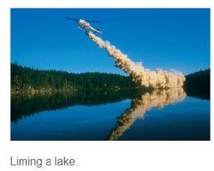 Chapter 15, Problem 94E, Lakes that have been acidified by acid rain can be neutralized by liming, the addition of limestone 