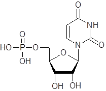 EBK CHEMISTRY FOR CHANGING TIMES, Chapter 16, Problem 53P 