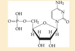 Chapter 16, Problem 54P, Identify the sugar and the base in the following nucleotide. 