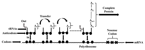 Chemistry For Changing Times (14th Edition), Chapter 16, Problem 60P 