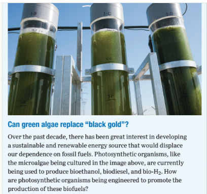 Chapter 10, Problem 11PIAT, 

Can green algae replace “black gold”?
Over the past decade, there has been great interest in 