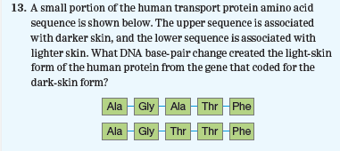 Chapter 16, Problem 13PIAT, 13. A small portion of the human transport protein amino acid sequence is shown below. The upper 