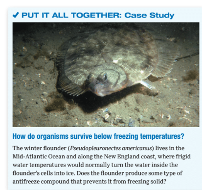 Chapter 2, Problem 11PIAT, 
How do organisms survive below freezing temperatures?
The winter flounder (Pseudopleuronectes 