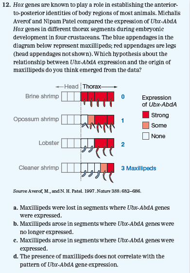 Chapter 31, Problem 12PIAT, 12. Hox genes are known to play a role in establishing the anterior- to-posterior identities of body 