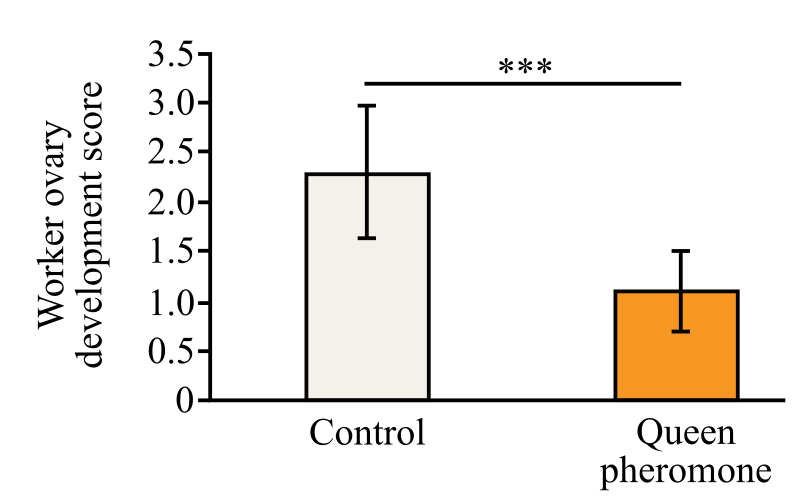 Biological Science (6th Edition), Chapter 44, Problem 15PIAT 