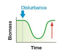 Biological Science (6th Edition), Chapter 54, Problem 2TYK 