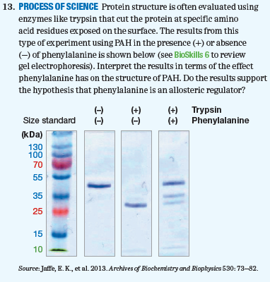 Chapter 8, Problem 13PIAT, 13. PROCESS OF SCIENCE Protein structure is often evaluated using enzymes like trypsin that cut the 